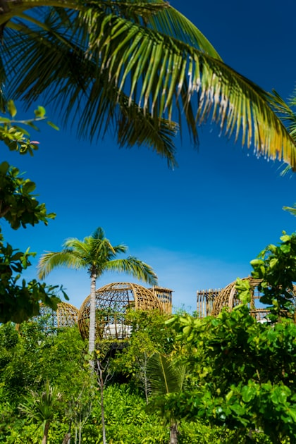 Book Your Stay at Abaton Belize